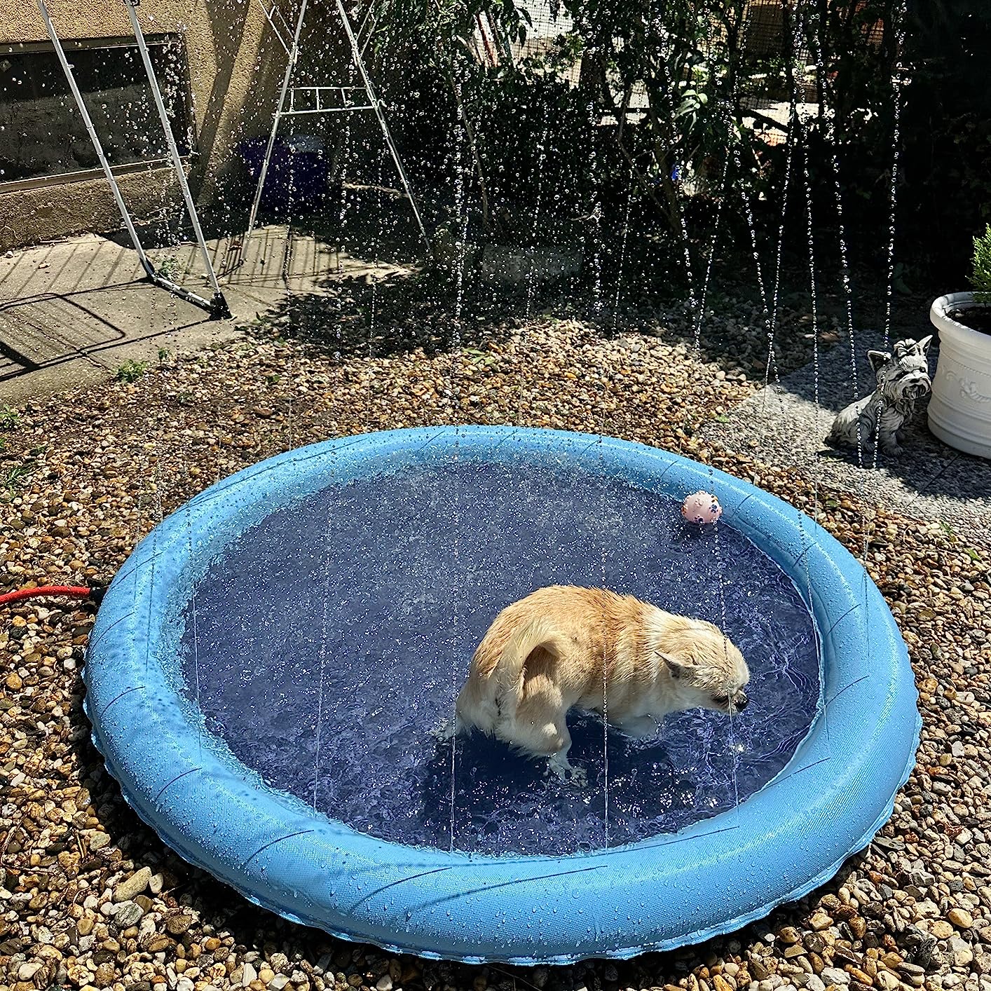 Tapete Aspersor Piscina Juguete Rociador de Agua para Perros